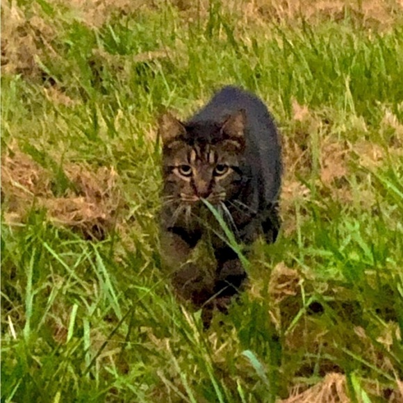 𝅺❤️ In loving memory ❤️ - Picture 1 of 1